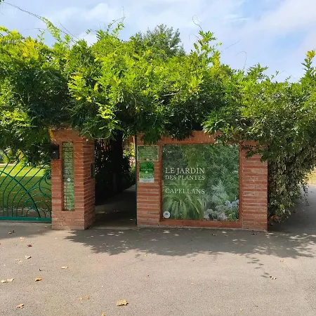 Cyprien Apartment Saint-Cyprien (Pyrenees-Orientales)